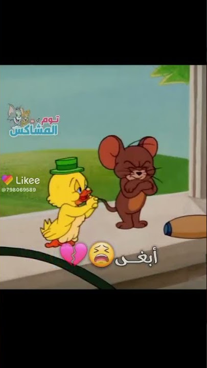 توم وجيري باللهجه اليمنيه هههههه😂😂😂😂😂😂😂روعه ابغى اسافر