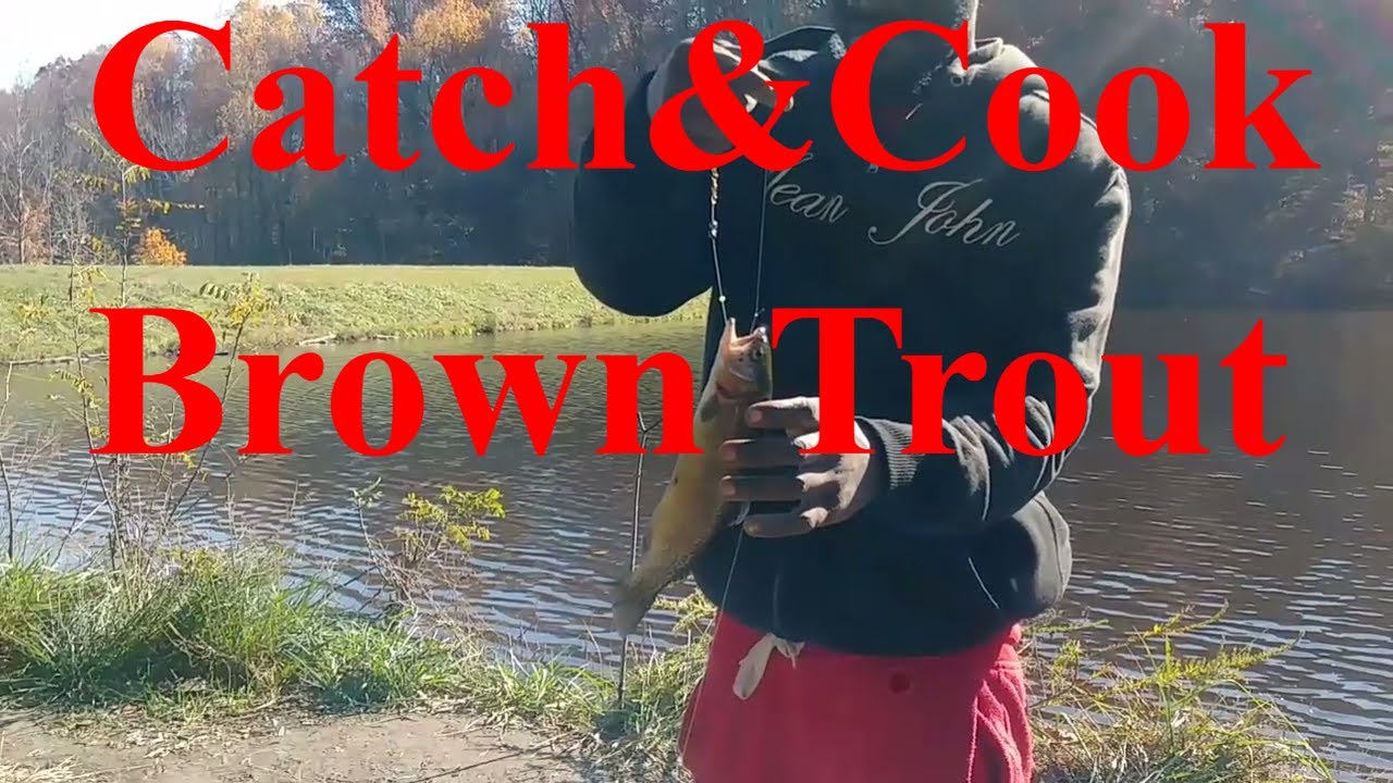 Lakes Of Louisville Best Fishing Lakes In Louisville Kentucky Catch