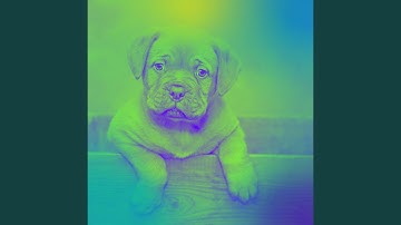 Pulsating Ambiance for Separation Anxiety