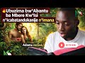 Ubuzima Bw Abantu Ba Mbere Kw Isi N Icabatandukanije N Imana Adam Eva