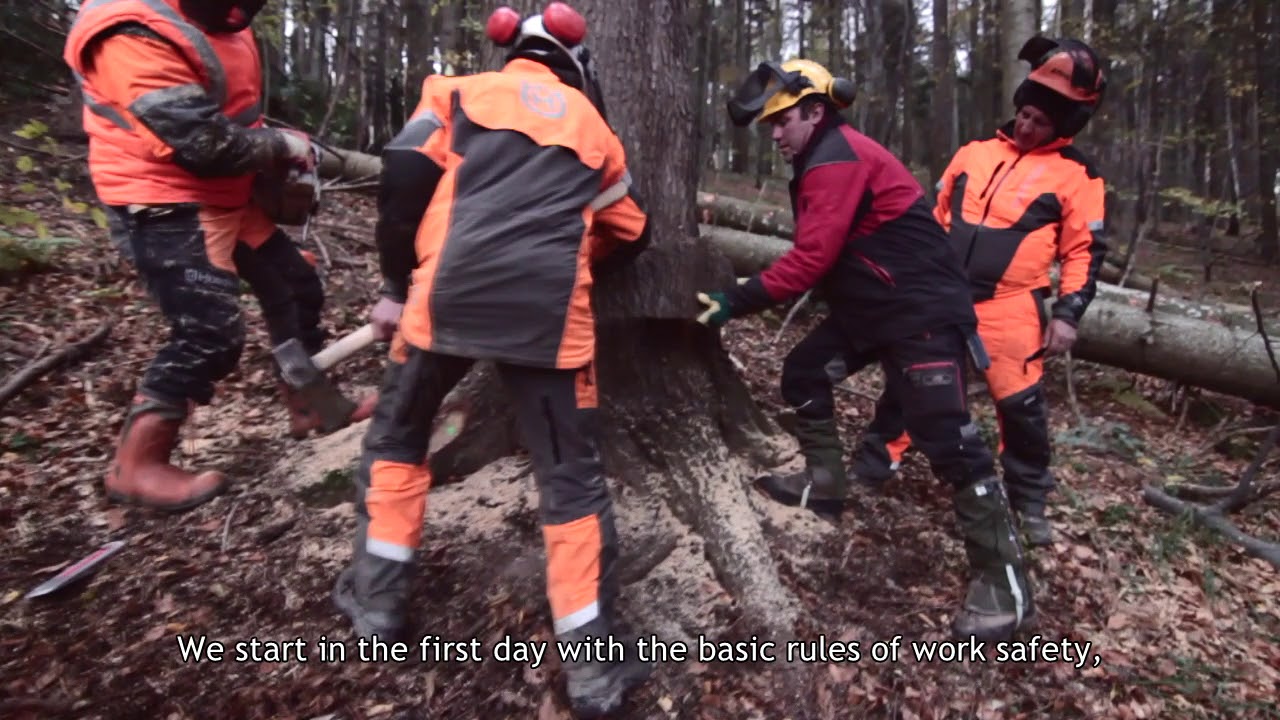 Work Safety Training at Tornator in tree felling (Romania) - YouTube