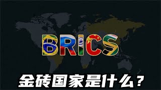 金磚國家是什麼來的？
