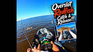 Download lagu Overslot Redfish Catch and Release from Kayak!!!