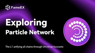 What is Particle Network ？