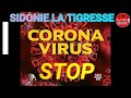 Sidonie la tigresse  coranavirus