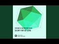 Miniature de la vidéo de la chanson Silent For So Long (Gems Edit)