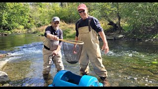 Fall Trout Stocking on Quittapahilla Creek, Lebanon County (Broll) 2023