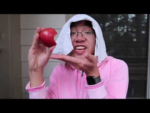 Is This What I Think It Is Wasted Food Csupo V2