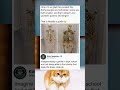 pov: you're just built different 😭 | funny memes | dank memes | viral memes