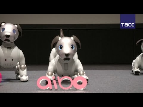 Wideo: Firma Sony Opatentowała Podobnego Do Zwierzaka Robota Towarzyszącego Graczom