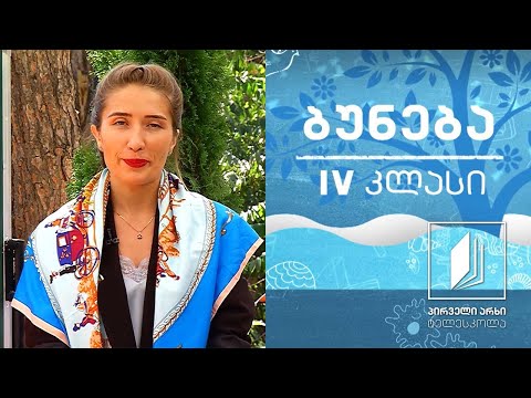 ვიდეო: ხერხემლიანი ცხოველები: ნიშნები, თვისებები, ნიშნები