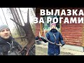 Вылазка в лес за Рогами | Belforrest