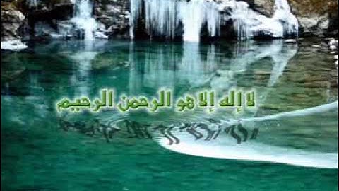 سورة التحريم -الشيخ محمد اللحيدان.flv