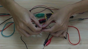 Tưới cây tự động với Micro:Bit