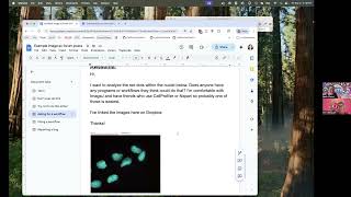 Details How to Write a Great Post on the Image.sc Forum - AskErinDearBeth Episode 17 Update