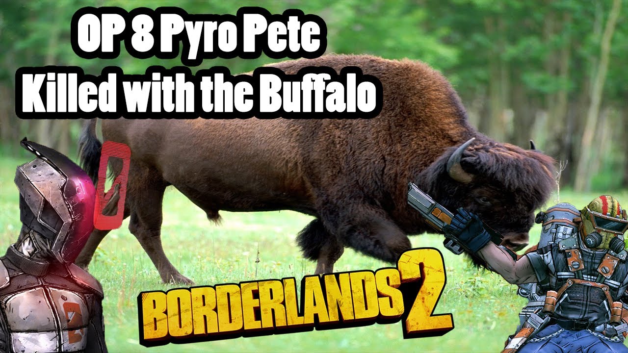 Borderlands 2: Pete killed with the Buffalo gaming logo