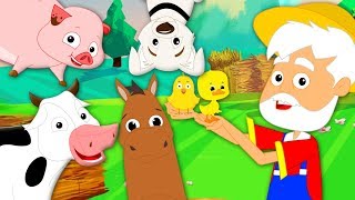 old macdonald had a farm nursery rhymes for kids baby songs