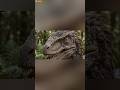Dinosaurus Ini Lebih Pintar dari yang Kamu Bayangkan #shorts #dinosaurs #jurassicworld #predator