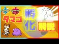 タマゴ孵化の方法を徹底解説!個体値遺伝と遺伝技の仕組み【ポケモン剣盾】