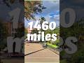 Can we walk 4 miles a day in 2024? #shorts