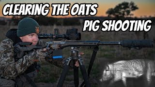 Clearing the Oats || Feral Pig, Cat & Fox Shooting with my 308Win Rifle & Thermion 2 LRF XG50 by EDGE of the OUTBACK 457,185 views 10 months ago 17 minutes