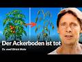Raus aus fataler Spur des Mangels – Boden, Nahrung, Körper und Gehirn