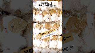 むきだしーずー！みんなの投稿（一部）