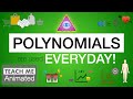 Applications of Polynomials in Real Life | Animated Introduction (Part 1)