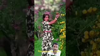 o tumse door rahke #abhitabh bachhan#ytstudio#youtube#shortfeed#viral#love #love stuts#hindi