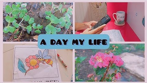 CUỘC SỐNG MÙA HÈ CỦA MỘT HỌC SINH VIỆT NAM | MÌNH ĐÃ TẬN DỤNG NGÀY NGHỈ NTN | DAILY VLOG | Dolie Cao