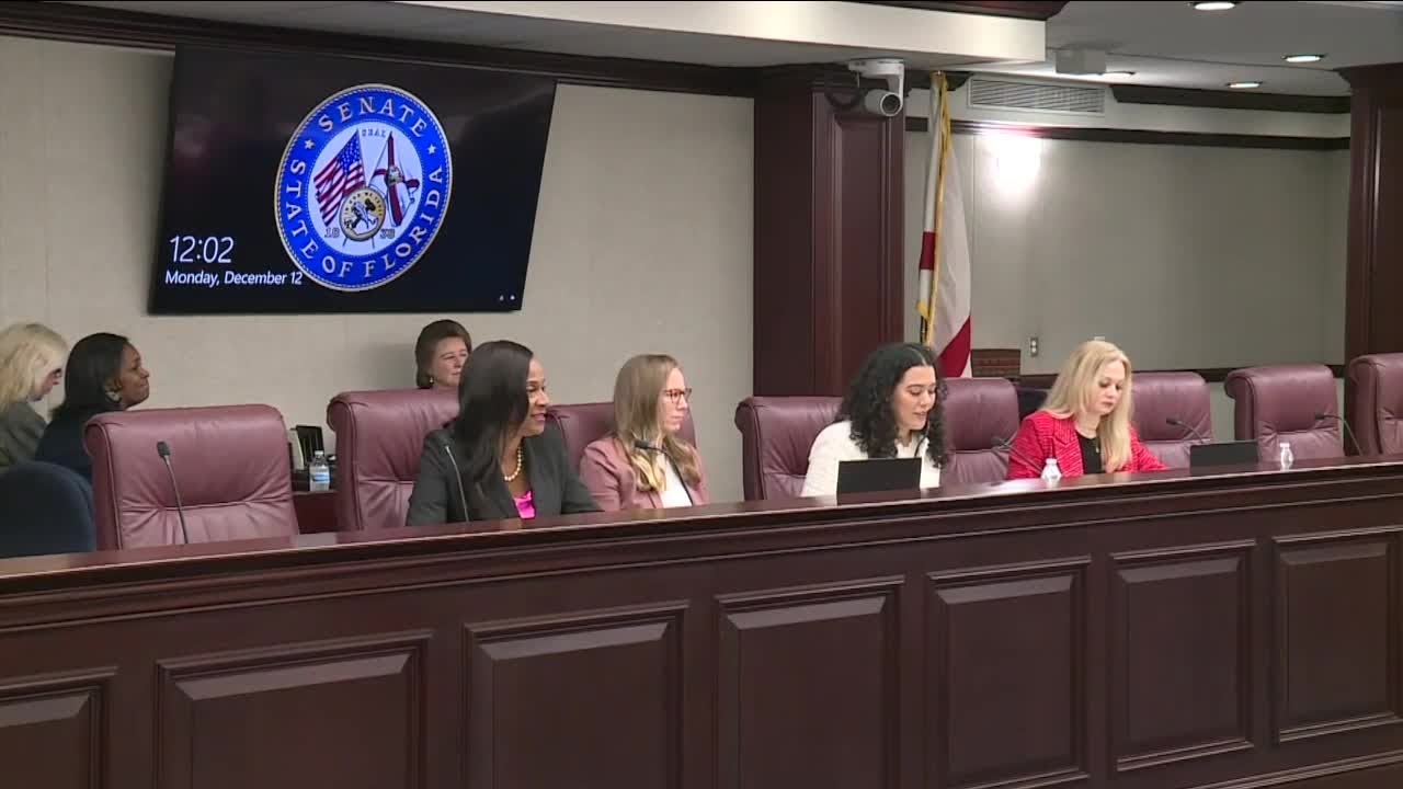 Florida Democrats goals in the new year - YouTube