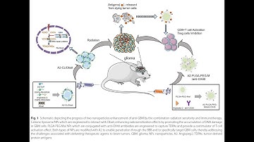 PLGA-PEG-Mal from PolySciTech used in development of nano-delivery system for glioblastoma treatment