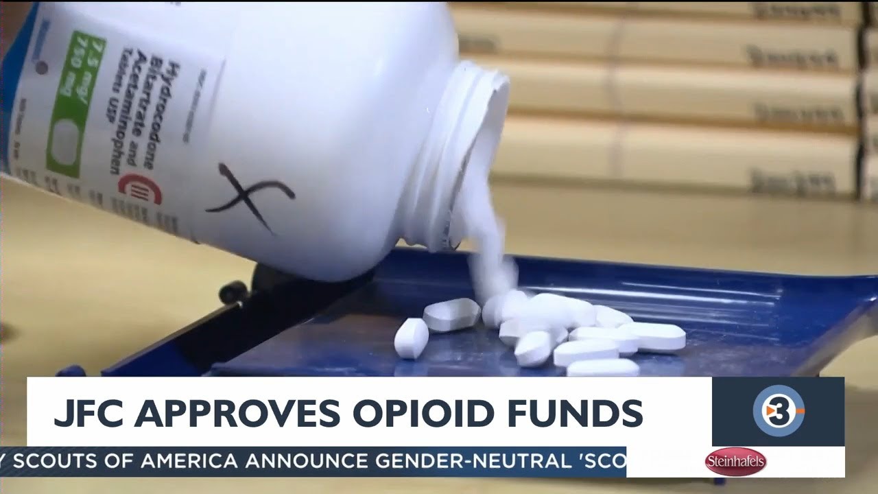 Joint Finance Committee approves spending plan to fight opioid abuse ...
