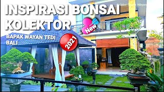 🔴#BONSAI INSPIRASI KOLEKTOR BAPAK WAYAN TEDI BALI 2021
