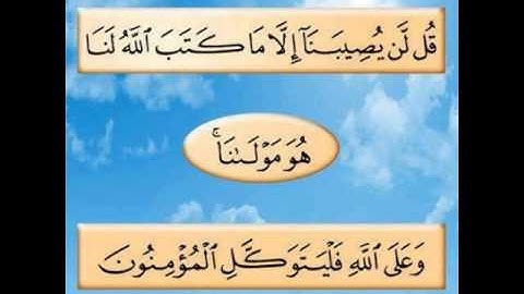 سورة التوبة آية 51