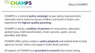 Webinar | A Cornerstone of the Foster Care System: Foster Families