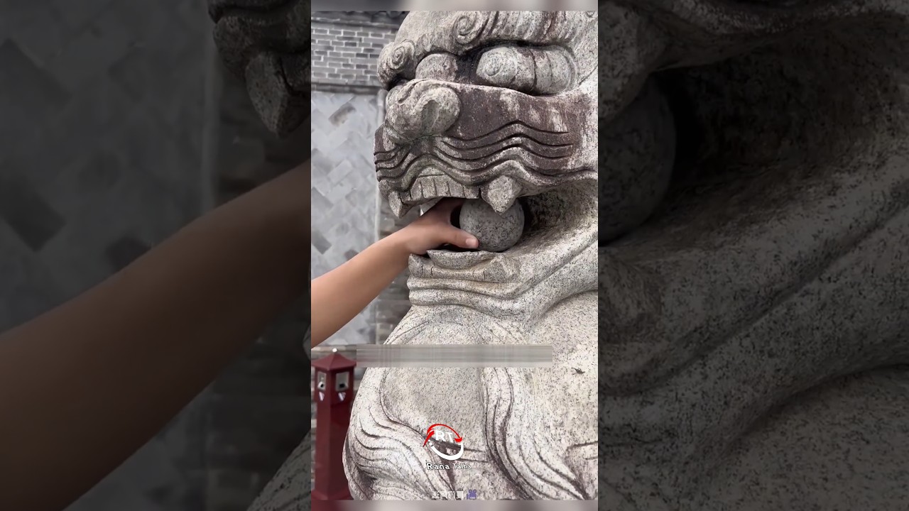 Trapped in Lion's Mouth 😱 