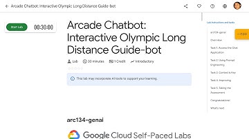 Arcade Chatbot Interactive Olympic Long Distance Guide bot arc134-genai