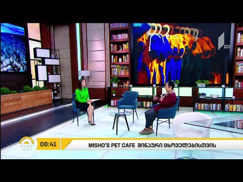 თბილისში შინაური ცხოველებისთვის პირველი კაფე გაიხსნა