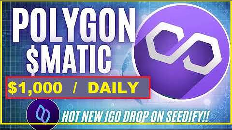 🚀 Polygon MATIC Flash Loan Arbitrage Earn $1,000Day with Simple, Proven Strategies!