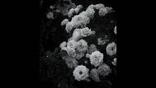 Bedo - seni zor sevdim (slowed + reverb)