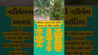 નારિયેળના ઝાડમાં વધારે નારિયેળ આવવા માટે સિક્રેટ રીત 🥥 | Coconut Tree Care Tips Gujarati