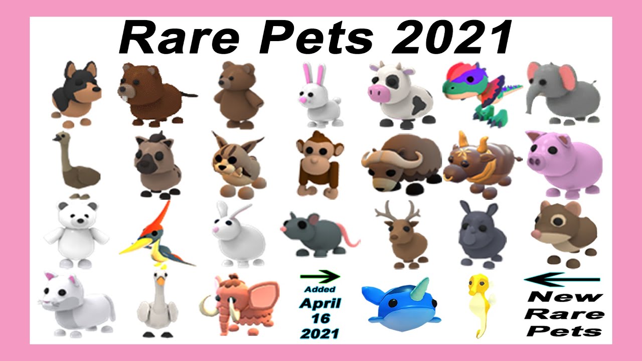 Brown Bear Roblox Adopt Me RARE PETS roblox How Many Rare 