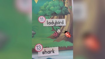 Augmented Reality | HP Reveal