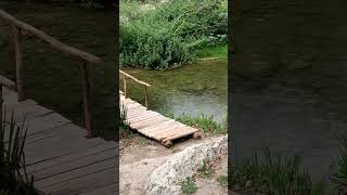 Somewhere inside the Necropolis of Pantalica #rain #rainsounds #rainsoundsforsleeping #nature #asmr
