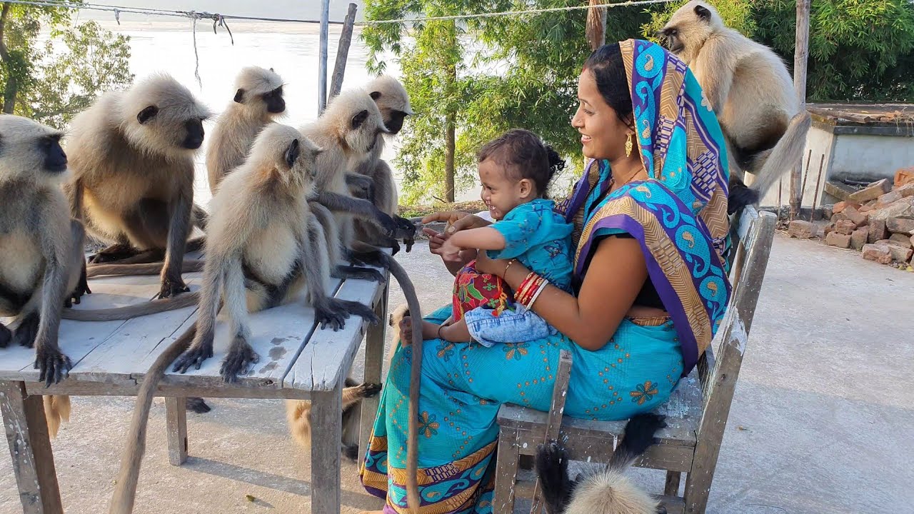 New appointed masters of Langurs Anganwadi