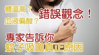 『解密』肉吃太多才會被蚊子叮？這些錯誤迷思讓你永遠被叮超慘！