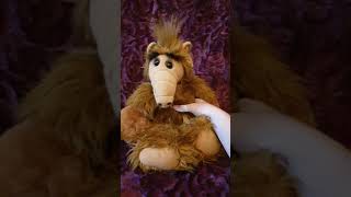 Working 18"  TALKING Alf the Alien plush toy 1986 screenshot 4