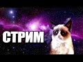 Стрим where копим на нож мечты