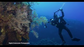 หลักสูตรพิเศษของ PADI
